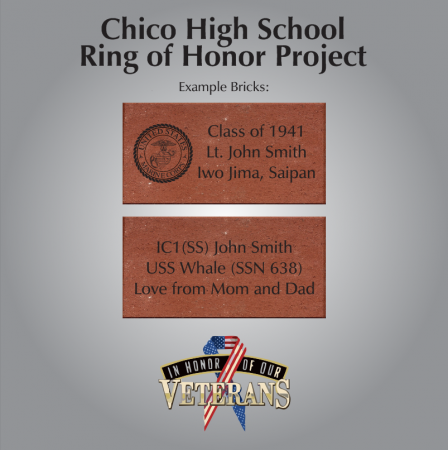 campaign image