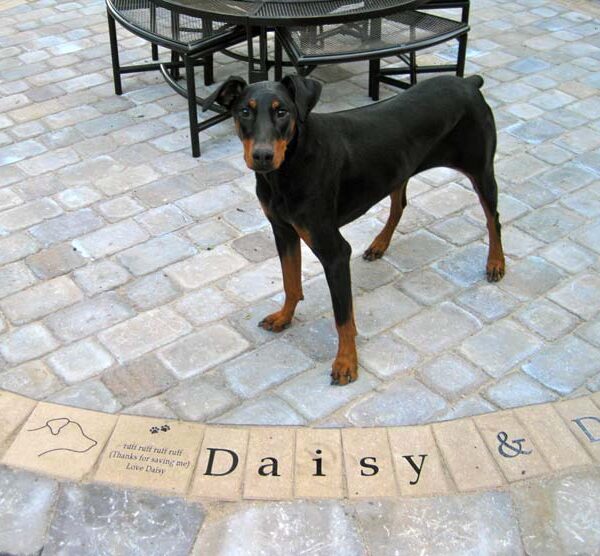 engraved gift bricks for daisy the dog